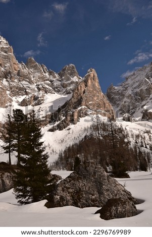 The peaks of the Pale di San Martino, Dolomites