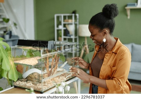 Happy young black woman standing in front of camera in living room and looking at white rat snake groveling inside transparent terrarium