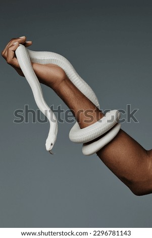 Part of arm of young African American man holding white snake enlacing his wrist while posing with his pet against grey background