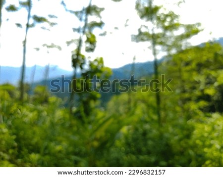 Photograph of defocused abstract blur background of jungle. Fit for design element, landing page design, home page design, presentation background, etc.