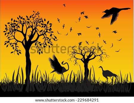 Cranes silhouettes