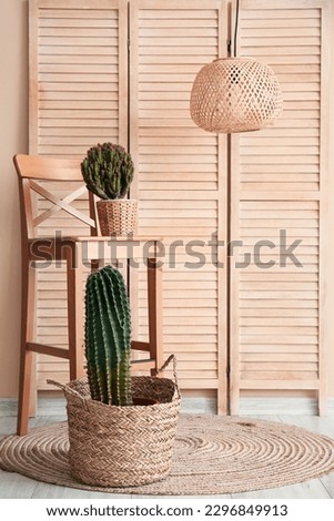Different cacti in pots, chair near folding screen
