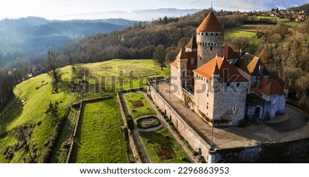 Aerial drone panoramic view of beauiful medieval castle Chateau de Montrottier, Rhone-Alpes, Savoie, France Royalty-Free Stock Photo #2296863953