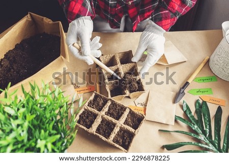 Woman's hands plant seeds at home. Home gardening, hobbies and agrarian life during lockdown. The concept of ecological and plant economy. Earth Day. Royalty-Free Stock Photo #2296878225
