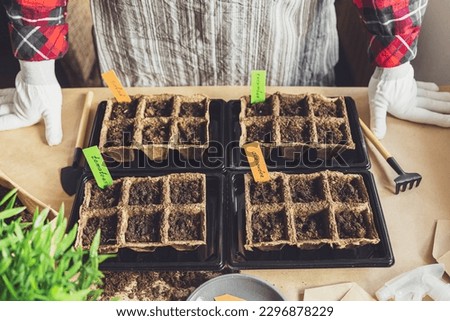 Woman's hands plant seeds at home. Home gardening, hobbies and agrarian life during lockdown. The concept of ecological and plant economy. Earth Day. Royalty-Free Stock Photo #2296878229
