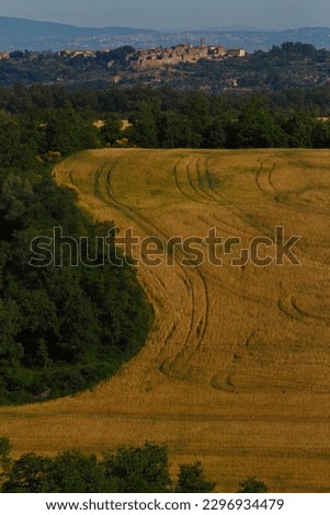 Panorama of the hills of the Val d'Orcia in the province of Siena. Tuscany, Italy Royalty-Free Stock Photo #2296934479