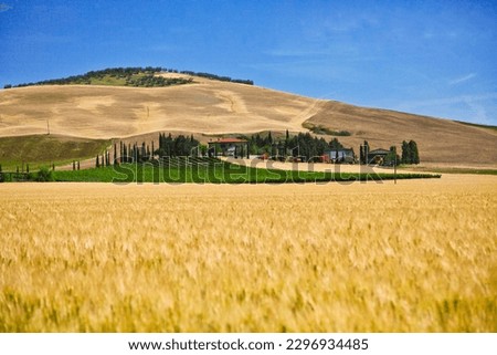 Panorama of the hills of the Val d'Orcia in the province of Siena. Tuscany, Italy Royalty-Free Stock Photo #2296934485