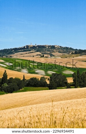 Panorama of the hills of the Val d'Orcia in the province of Siena. Tuscany, Italy Royalty-Free Stock Photo #2296934491