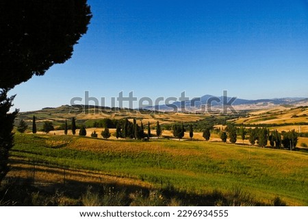 Panorama of the hills of the Val d'Orcia in the province of Siena. Tuscany, Italy Royalty-Free Stock Photo #2296934555