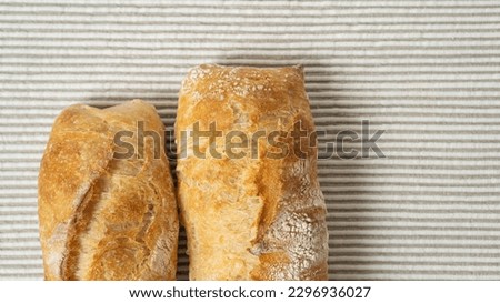 Freshly baked artisan ciabatta bread. Two fresh ciabatta on a table with a tablecloth. Homemade ciabatta.