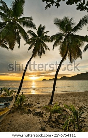 Sunset at takamaka beach behind the palm trees Mahe Seychelles 1