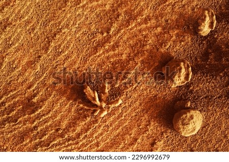 The surface of the planet Mars. Elements of this image furnished NASA. High quality photo