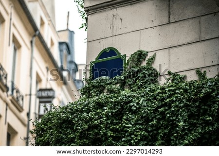 Empty street sign against a brick and Ivy covered background. Blue and Green nameless street plate sign on building facade