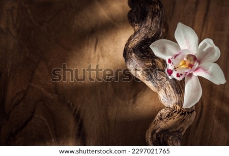 Vanilla flower close up. Vanilla beans over wooden background, macro shot. Aromatic condiments closeup Royalty-Free Stock Photo #2297021765