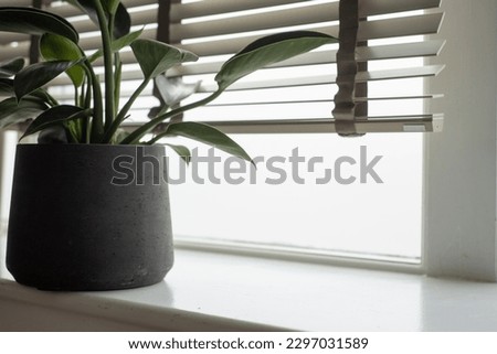 Neutral luxury interior, grey designer homeware lay out - white shelf with venetian blinds Royalty-Free Stock Photo #2297031589