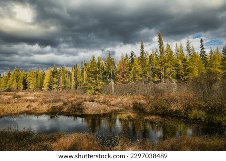 Northern Vermont wetland with dark stormy clouds