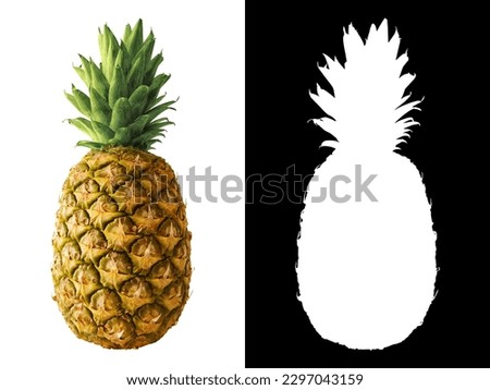A tropical pineapple isolated on empty background with clipping path and alpha channel Royalty-Free Stock Photo #2297043159