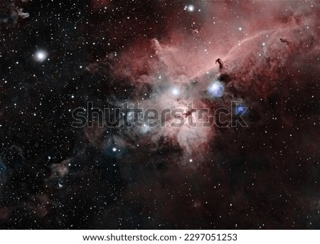 Image of Horse Head and Flame nebulae