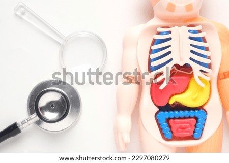Selective focus picture of human anatomy miniature with stethoscope and magnifying glass on white background