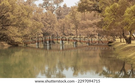 infrared image of the foliage by the lake