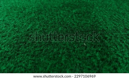Macro photo of green carpet