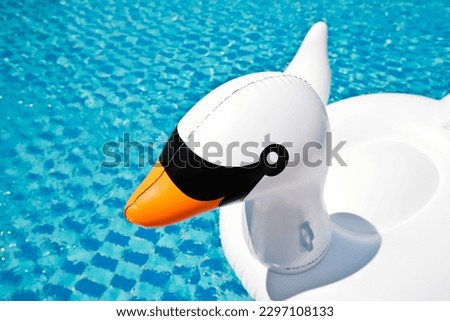 Hotel swimming pool with swan tubes