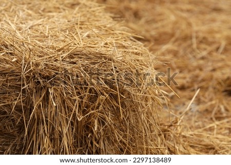 Bale hay or Bale of straw. Hay background. Farm background. (The pictures has noise and soft focus)