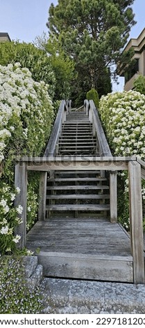 Wooden staircase of a house with different flowers. Terrace of summer house. Spring blossom shrubs design home with bloom flowers. House entrance staircase 
with Mexican blossom flowers.