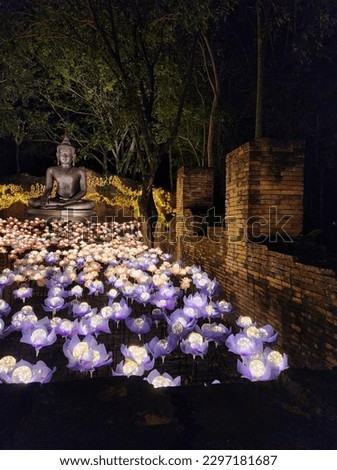 The Buddha statue in field of light flower