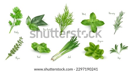 Green herbs set isolated on white background. Thyme, rosemary, mint, oregano, basil, sage, parsley, dill, bay leaves, leek spices vector illustration. Herbal seasoning ingredients for cooking. Royalty-Free Stock Photo #2297190241