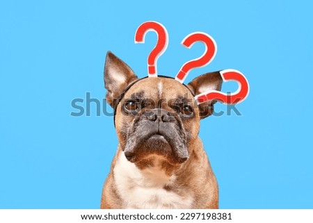 French Bulldog dog with headband with question marks on blue background Royalty-Free Stock Photo #2297198381