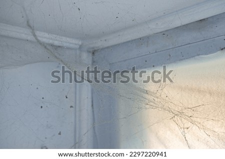 Spider web or cobwebs with dead tangled insects, flies and dust in the dirty corner of the room under the ceiling near window. The need for house cleaning. Spring-cleaning apartment, concept image. Royalty-Free Stock Photo #2297220941