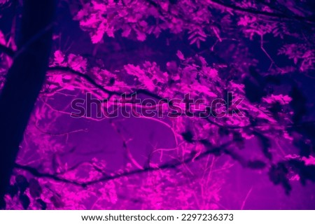 trees illuminated in fluorescent purple psychedelic colors