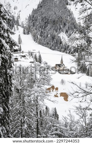 Snowfall in Sauris. Among the woods and historic houses.