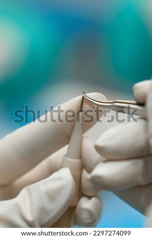 Close up of surgeon's hand placing a follicular unit in the implanter needle for hair transplantation. Royalty-Free Stock Photo #2297274099