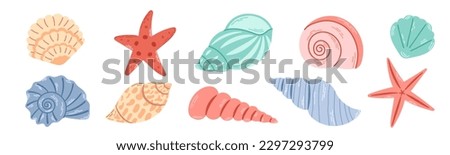 Set of colored sea shells, molluscs, sea ​​snails, starfish. Modern flat illustration of seashells isolated on white background. Royalty-Free Stock Photo #2297293799