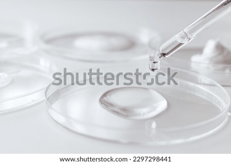 Pipette with Sample of Gels Cosmetic Product in Petri Dish on white background, top view, flat lay Royalty-Free Stock Photo #2297298441