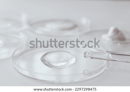 Pipette with Sample of Gels Cosmetic Product in Petri Dish on white background, top view, flat lay Royalty-Free Stock Photo #2297298475