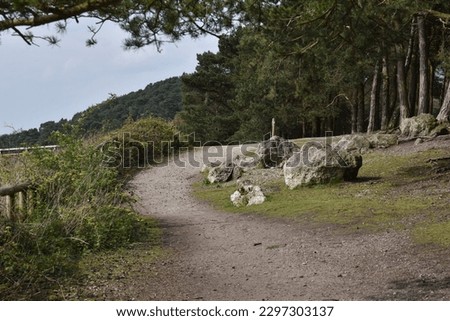 a walk through the Lickey hills country park next to Birmingham in the uk Royalty-Free Stock Photo #2297303137
