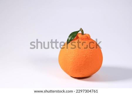 It is a kind of orange named Hanrabong and is on Jeju Island. Royalty-Free Stock Photo #2297304761