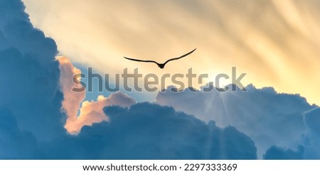 A Bird Silhouette Is Soaring Above The Colorful Clouds At Sunset Banner Royalty-Free Stock Photo #2297333369