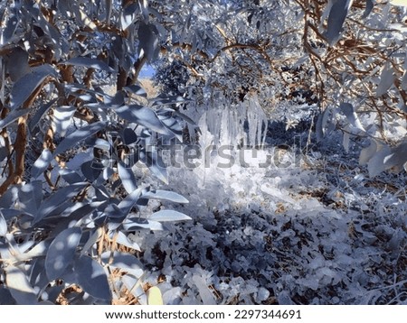 infrared photo of beautiful ice patterns in a rural area in Greece 