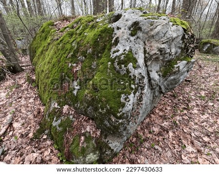 Green Moss Colored Rocks Nature