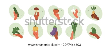 Hand gestures illustration set. Characters hands holding avocado, broccoli, onion and other fresh organic vegetables. Balanced healthy food and vegan diet concept. Vector illustration. Royalty-Free Stock Photo #2297466603