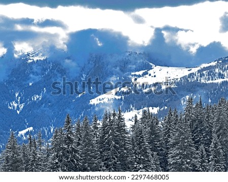 Beautiful low winter clouds and fog condensation in the Swiss Alps above the tourist resorts of Valbella and Lenzerheide in the Swiss Alps - Canton of Grisons, Switzerland (Schweiz)