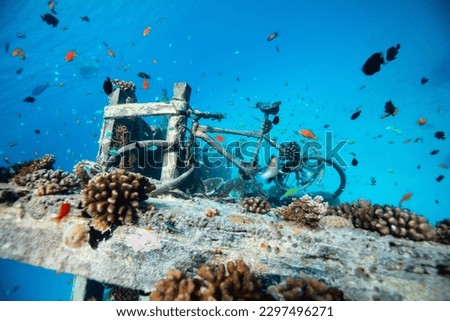 Sunken ship in Maldives surrounded by tropical fish Royalty-Free Stock Photo #2297496271