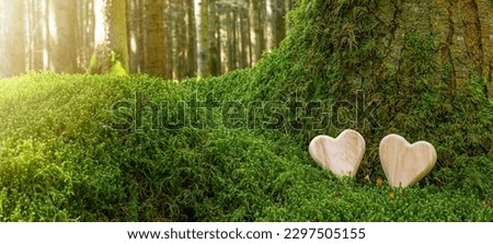 Funeral wooden Heart near a fir spruce tree. Natural burial grave in the forest woods. Wood heart on grass or moss. Tree burial, forest cemetery Royalty-Free Stock Photo #2297505155