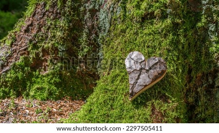 Funeral wooden Heart near a fir spruce tree. Natural burial grave in the forest woods. Wood heart on grass or moss. Tree burial, forest cemetery Royalty-Free Stock Photo #2297505411
