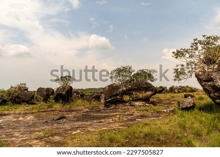 Rocky area of natural caves in the Colombian Amazon, rock and trees