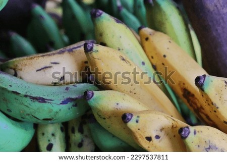 Raw bananas and ripe bananas in one place and still intact not cut